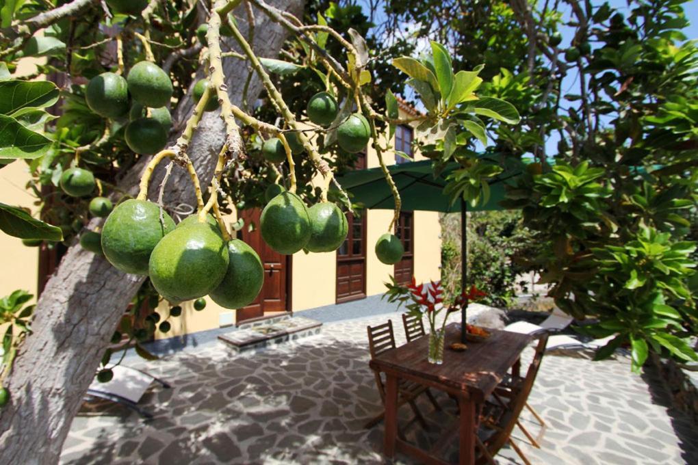 Casa Rural Los Aromos - Wunderschones Landhaus Mit Meerblick Hermigua Exterior photo